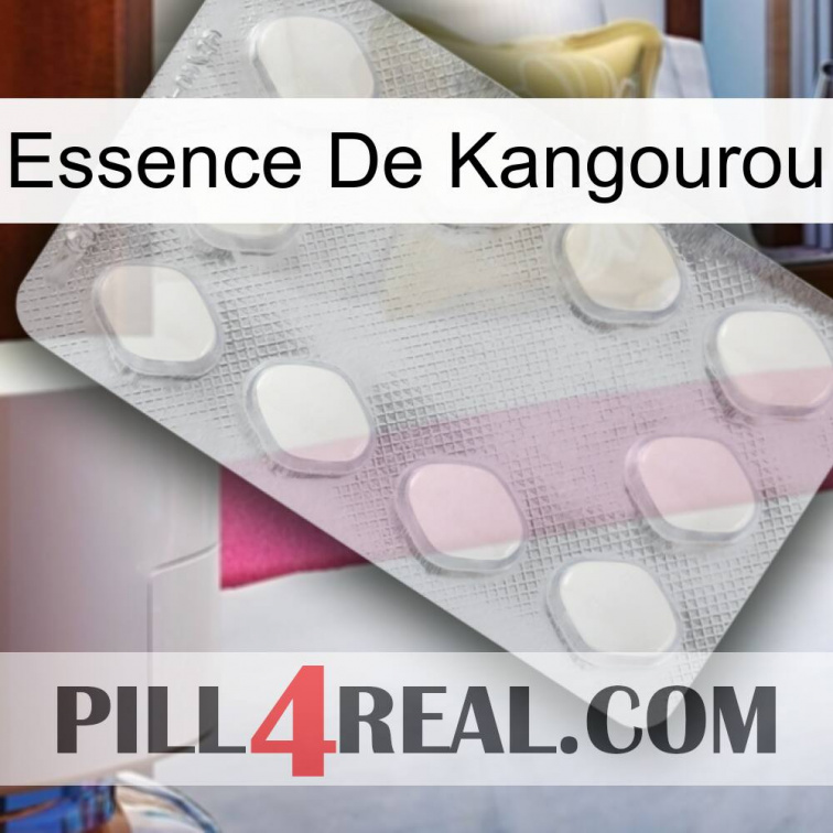 Kangaroo Essence 16